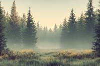 Auto-École Permis Récup